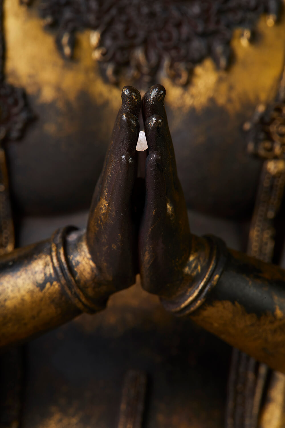 Fuku Kensaku Kannon (不空羂索観音)