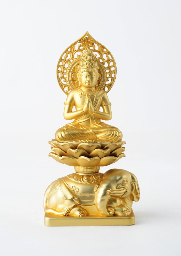 高岡普賢菩薩　誓い