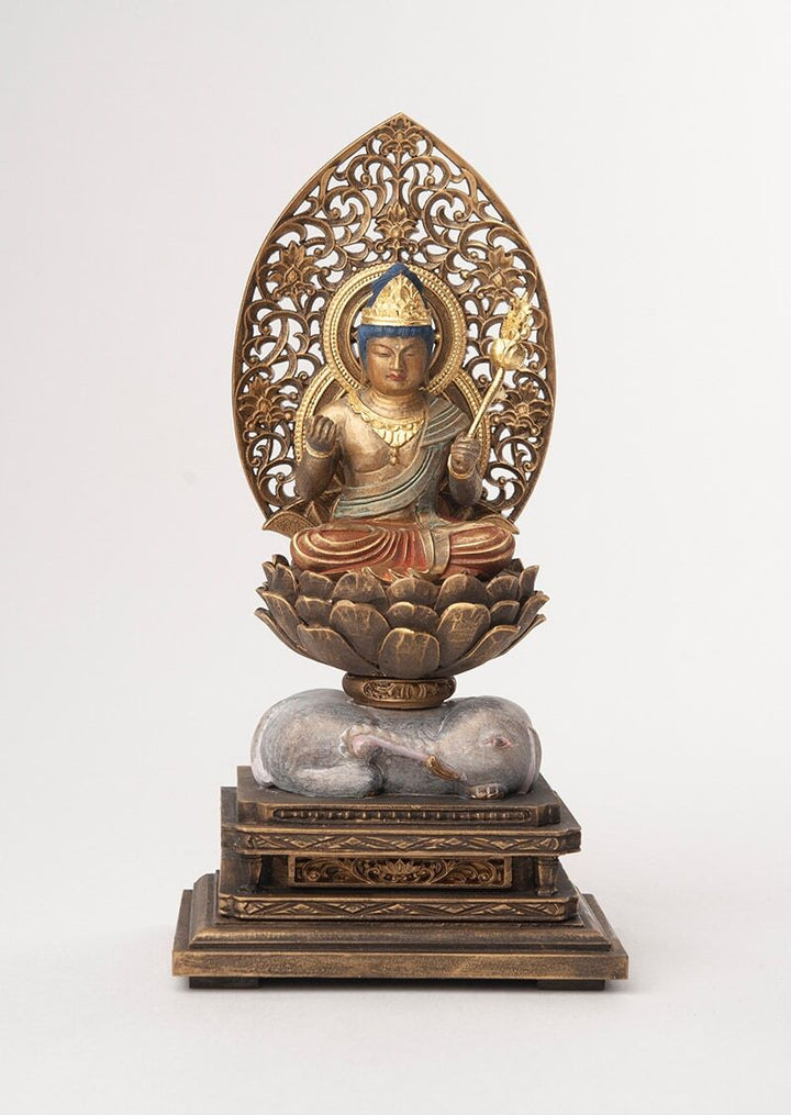 普賢菩薩　専ら