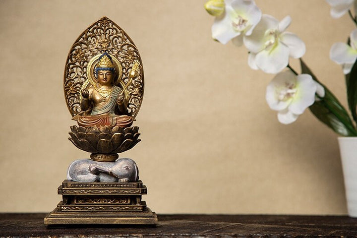 普賢菩薩　専ら