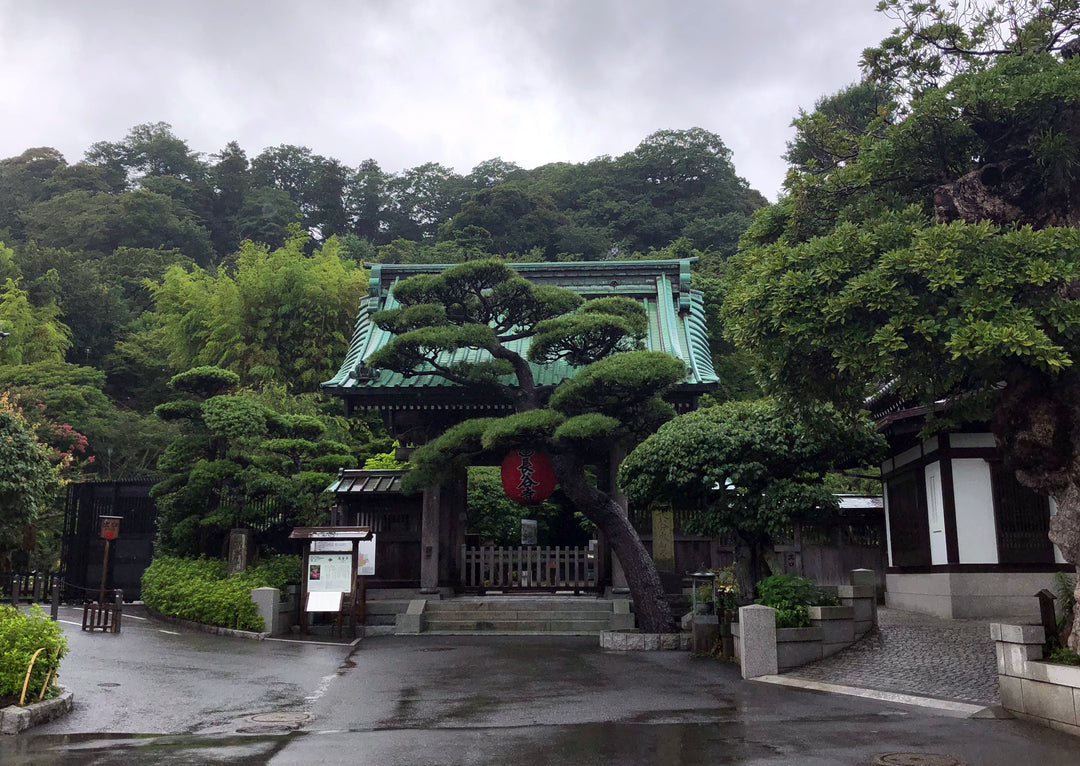 Hidden Buddha Daikokuten (Hasedera Official) Consecrated (秘仏 出世大黒天 開眼供養済)