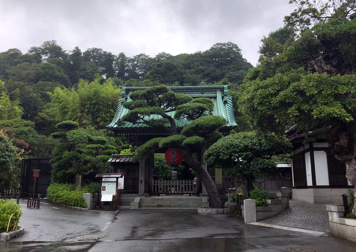 Hidden Buddha Daikokuten (Hasedera Official) Consecrated (秘仏 出世大黒天 開眼供養済)