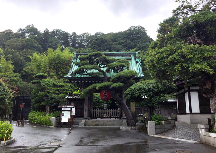 Hidden Buddha Daikokuten (Hasedera Official) Consecrated (秘仏 出世大黒天 開眼供養済)