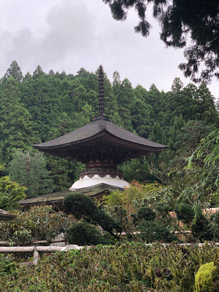 高野山金剛三昧院真言宗三尊（高野山金剛三昧院御祈祷 真言宗三尊）